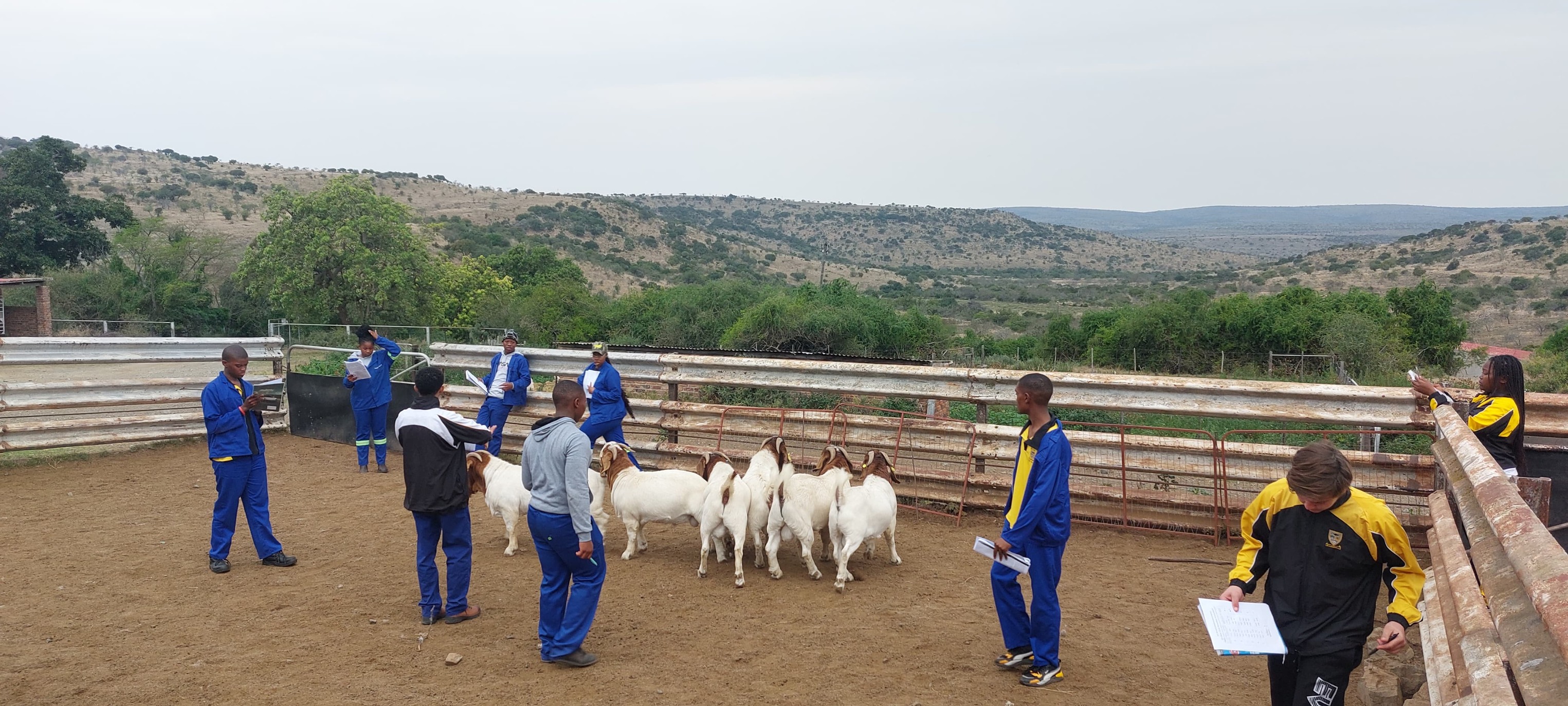 Image of students